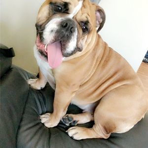 Meet your Posher, Lorena